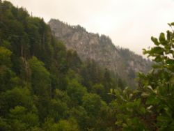 1913-07-05_Regina-F-Rau_Sonnenspitz_Kotalm-Jachenau (135).JPG